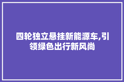 四轮独立悬挂新能源车,引领绿色出行新风尚