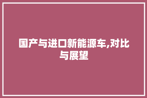 国产与进口新能源车,对比与展望