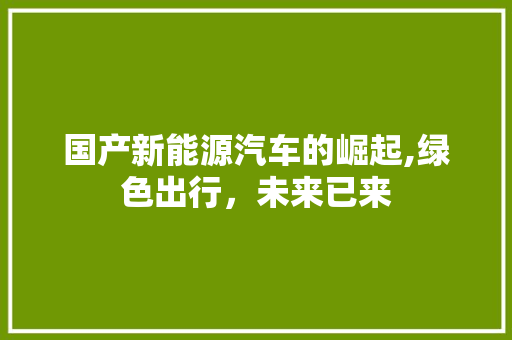 国产新能源汽车的崛起,绿色出行，未来已来