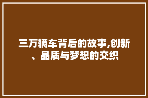 三万辆车背后的故事,创新、品质与梦想的交织 蓄电池配件