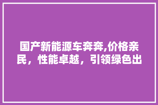 国产新能源车奔奔,价格亲民，性能卓越，引领绿色出行新风尚