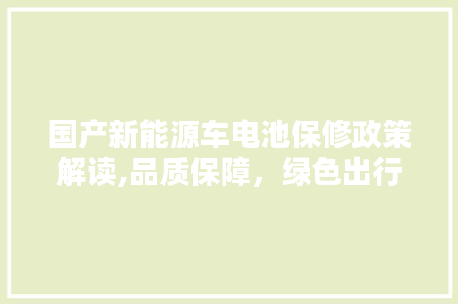 国产新能源车电池保修政策解读,品质保障，绿色出行无忧