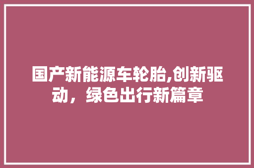 国产新能源车轮胎,创新驱动，绿色出行新篇章