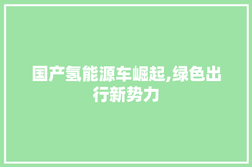 国产氢能源车崛起,绿色出行新势力