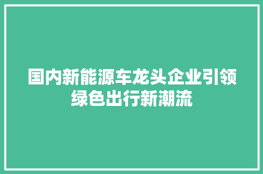 国内新能源车龙头企业引领绿色出行新潮流