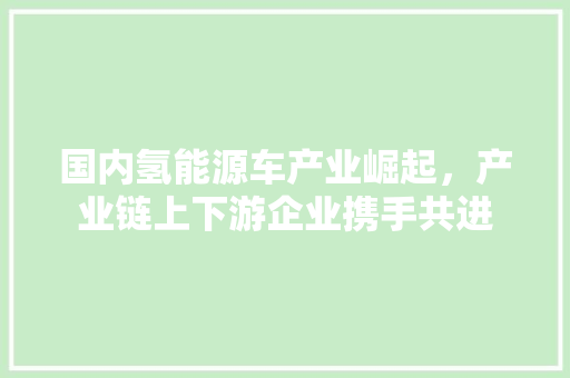 国内氢能源车产业崛起，产业链上下游企业携手共进