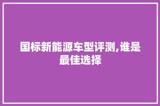 国标新能源车型评测,谁是最佳选择