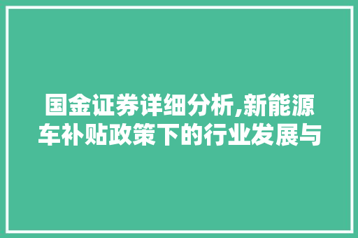 国金证券详细分析,新能源车补贴政策下的行业发展与机遇 汽车配件