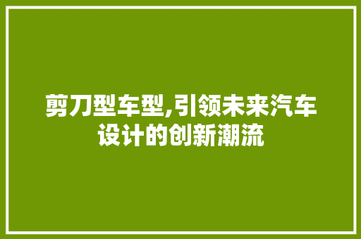 剪刀型车型,引领未来汽车设计的创新潮流
