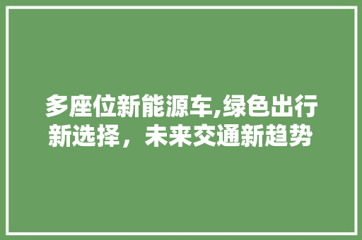 多座位新能源车,绿色出行新选择，未来交通新趋势