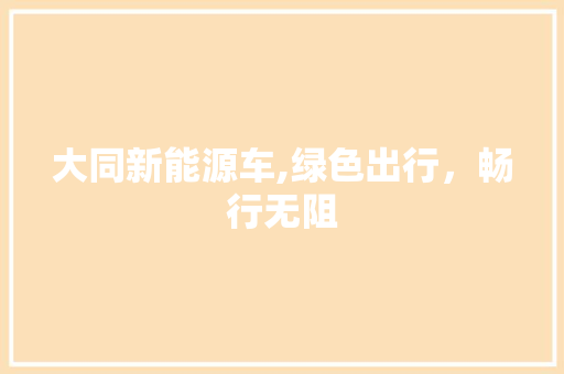 大同新能源车,绿色出行，畅行无阻
