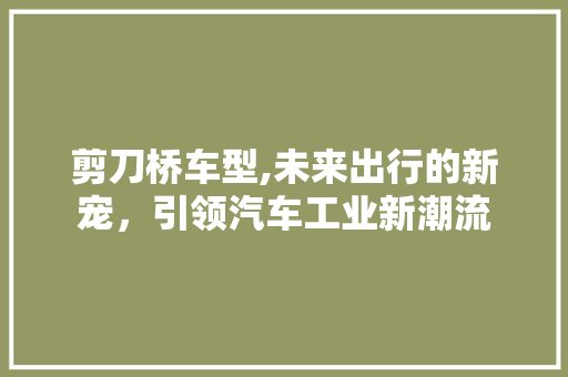 剪刀桥车型,未来出行的新宠，引领汽车工业新潮流