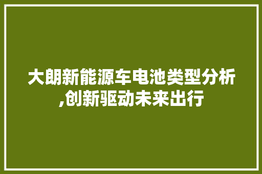 大朗新能源车电池类型分析,创新驱动未来出行