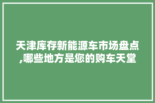 天津库存新能源车市场盘点,哪些地方是您的购车天堂