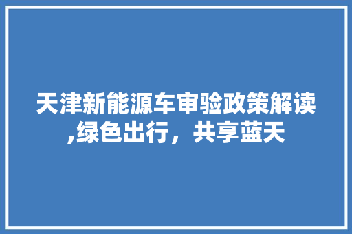天津新能源车审验政策解读,绿色出行，共享蓝天
