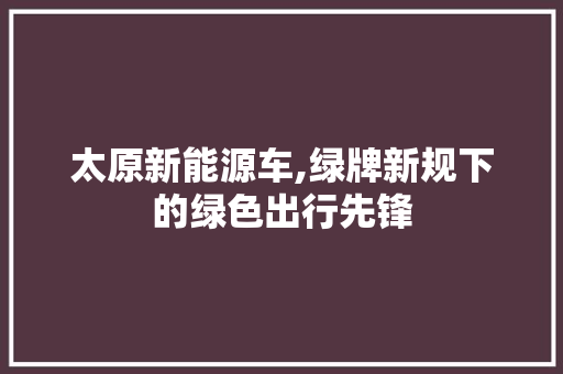 太原新能源车,绿牌新规下的绿色出行先锋