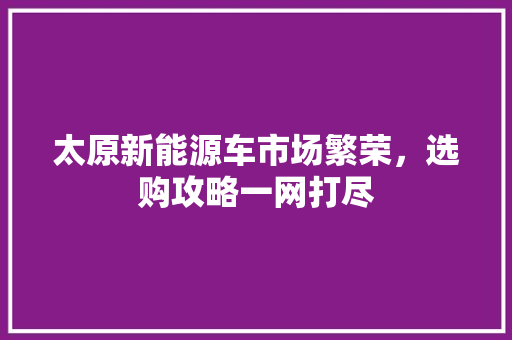 太原新能源车市场繁荣，选购攻略一网打尽