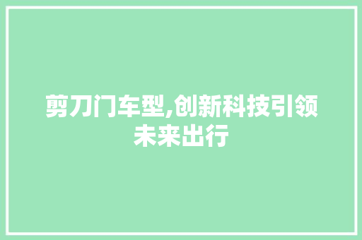 剪刀门车型,创新科技引领未来出行