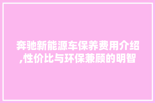 奔驰新能源车保养费用介绍,性价比与环保兼顾的明智选择