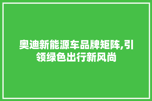 奥迪新能源车品牌矩阵,引领绿色出行新风尚