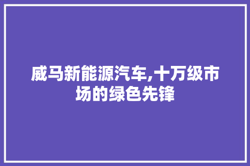 威马新能源汽车,十万级市场的绿色先锋