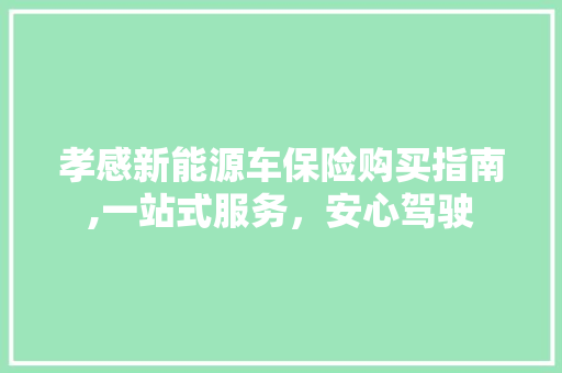 孝感新能源车保险购买指南,一站式服务，安心驾驶