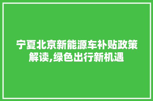 宁夏北京新能源车补贴政策解读,绿色出行新机遇