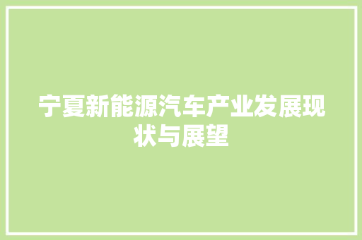 宁夏新能源汽车产业发展现状与展望