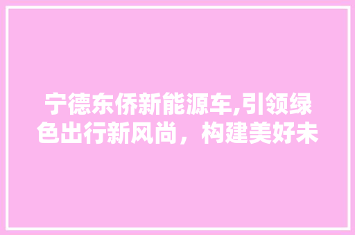 宁德东侨新能源车,引领绿色出行新风尚，构建美好未来生活