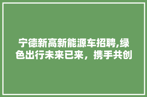 宁德新高新能源车招聘,绿色出行未来已来，携手共创美好明天