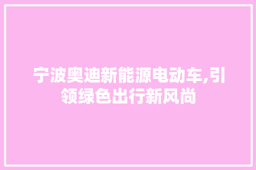 宁波奥迪新能源电动车,引领绿色出行新风尚