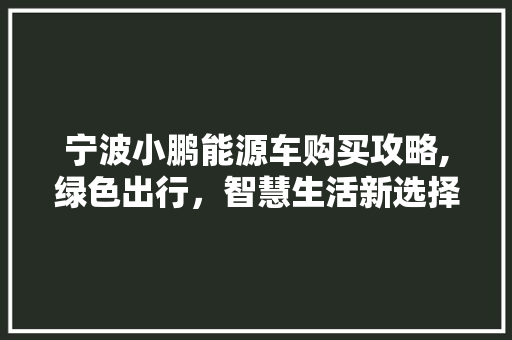 宁波小鹏能源车购买攻略,绿色出行，智慧生活新选择 新能源汽车