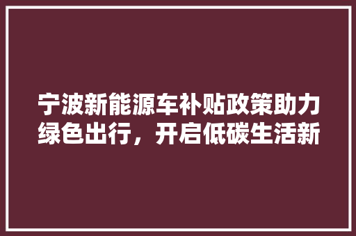 宁波新能源车补贴政策助力绿色出行，开启低碳生活新篇章