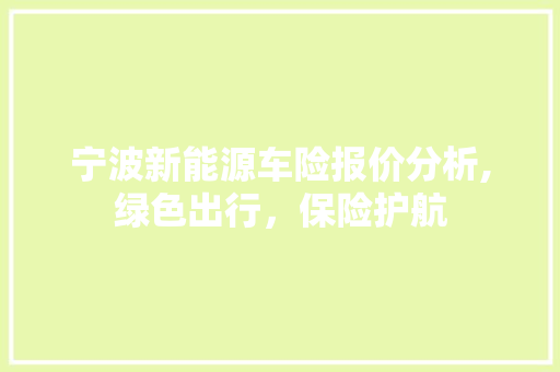 宁波新能源车险报价分析,绿色出行，保险护航