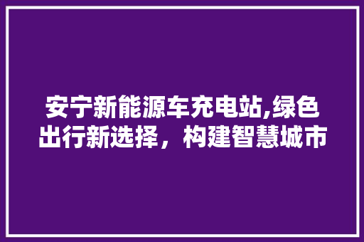 安宁新能源车充电站,绿色出行新选择，构建智慧城市未来