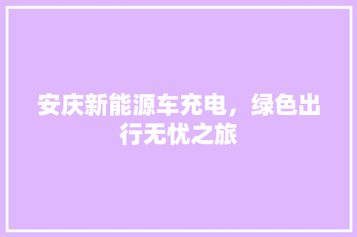 安庆新能源车充电，绿色出行无忧之旅