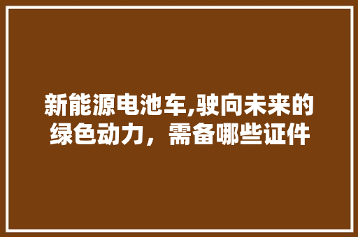 新能源电池车,驶向未来的绿色动力，需备哪些证件