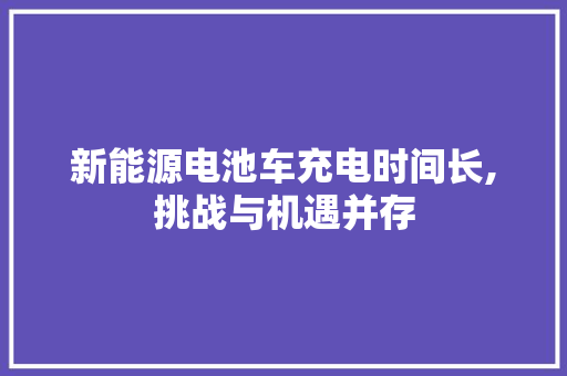 新能源电池车充电时间长,挑战与机遇并存 蓄电池配件