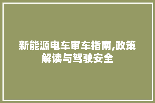新能源电车审车指南,政策解读与驾驶安全