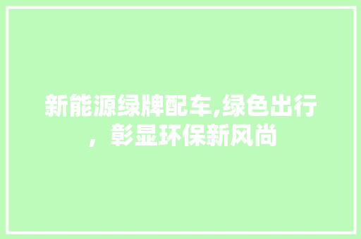 新能源绿牌配车,绿色出行，彰显环保新风尚