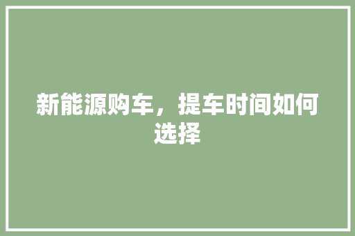 新能源购车，提车时间如何选择