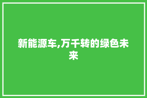 新能源车,万千转的绿色未来