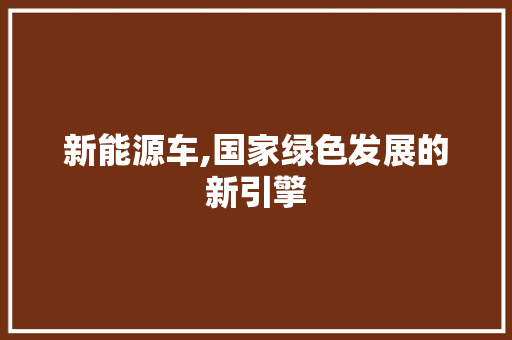 新能源车,国家绿色发展的新引擎