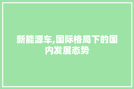 新能源车,国际格局下的国内发展态势