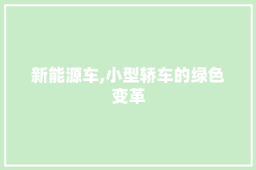 新能源车,小型轿车的绿色变革