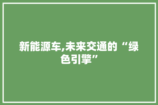 新能源车,未来交通的“绿色引擎”