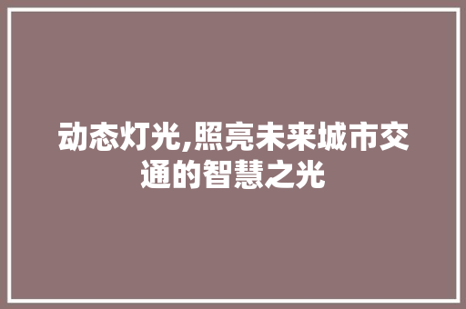 动态灯光,照亮未来城市交通的智慧之光