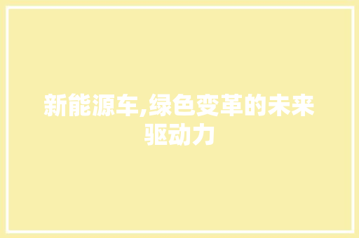 新能源车,绿色变革的未来驱动力 蓄电池配件