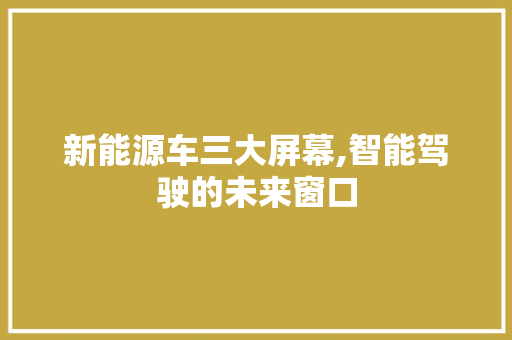 新能源车三大屏幕,智能驾驶的未来窗口