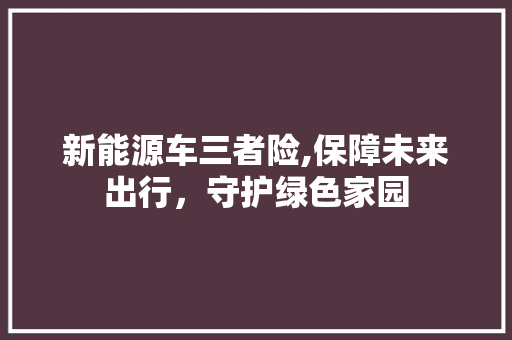 新能源车三者险,保障未来出行，守护绿色家园